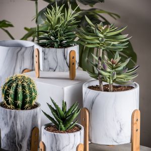 China Cement Flower Pots Mini Succulents Plant Pots Round Planters Tabletop Planters Cactus Planters on sale