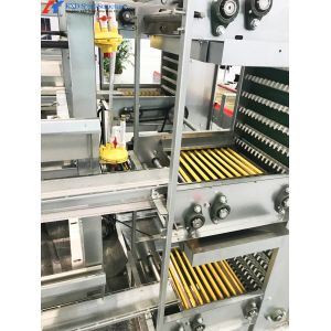 10 Tiers Fully Automated Broiler Cage Equipment Broiler Chicken Cage System For