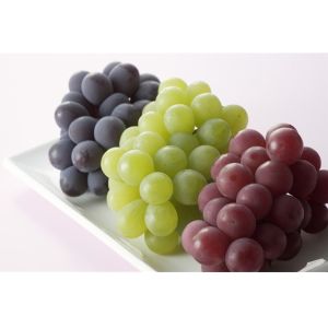 Cheap Grape Seed Extract 70%-85% polyphenols UV --Vitis vinifera L with rich experience for overseas market for sale