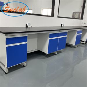 Practical Wall Bench Laboratory Acid Resistant Multipurpose Antirust