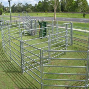 Quality 60x60mm Rails Lugs And Pin Model Square Pipe 60ft Height Cattle Panel For Horse wholesale