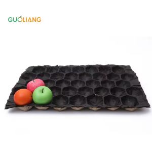 Cheap Biodegradable Round Fruit Paper Cavity Tray Liner Protection During Transport Empaque Para Frutas Alveolos for sale