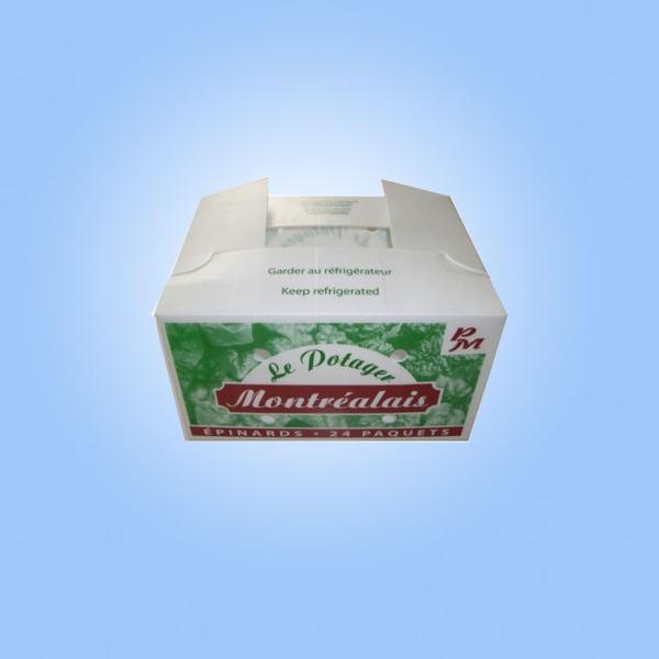 Retail Use Corrugated Plastic Packaging Boxes 380x254x154mm