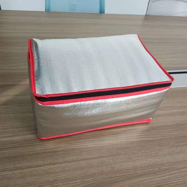 Food Portable Carrier Mini Cooler Bag with Thermal Design and Heavy Duty Zipper Closure