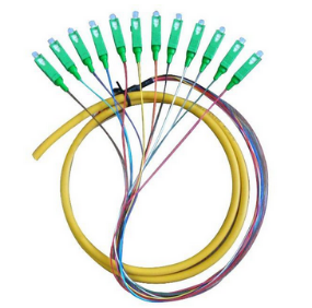 SC/APC SM 12Core Pigtail