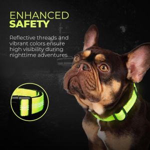 Adjustable Soft Neoprene Padded Dog Collar Keeps Dogs Safe and Stylish