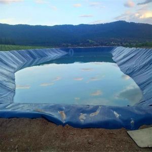1m-8m Width Geomembrane Sheet 850% Elongation at Break for Fish Pond and Shrimp