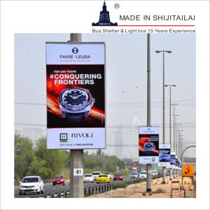 Double Side 50mm Pole L1200mm Lamp Post Light Box