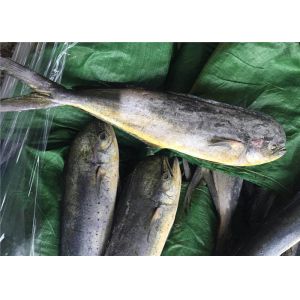 Seafood Coryphaena Hippurus BQF 1KG Frozen Mahi Mahi