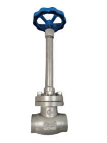 Stainless Steel Cryogenic Globe Valve with 5.0Mpa Maximum Pressure and -196 to