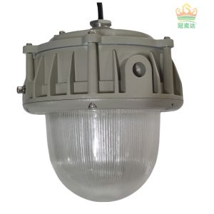 Cheap 120lm/w Meanwell Driver Explosion Proof Lighting For Hazardous Area for sale