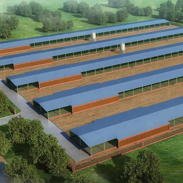 Layer Broiler Steel Structure Chicken House Building for Farming