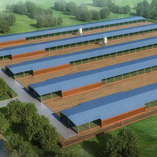 Quality Layer Broiler Steel Structure Chicken House Building for Farming wholesale