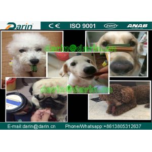 Continuous & automatic Dog Food Extruder Machine for Dog , Cat , Animal