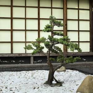 Anti - Fading Plastic Artificial Landscape Trees For Airport Interior Decoration