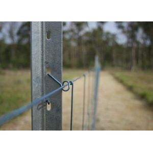 Pet Hospital V Mesh Security Fencing Quarantine Area