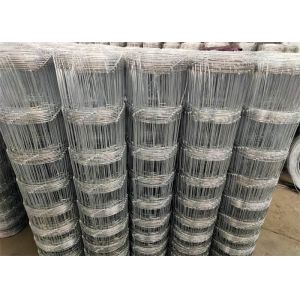 Livestock Animal Hinge Joint Wire Mesh Hot Dipped Galvanized