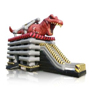 Max Capacity 100-500kg Inflatable Water Slide Jump and Slide with Packing Bag