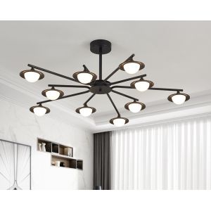 Unique Acrylic Black Aluminum Modern Pendant Light Different Shape