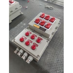 Energy- ATEX Explosion-proof Control Station Flameproof Electrical Control Boxes