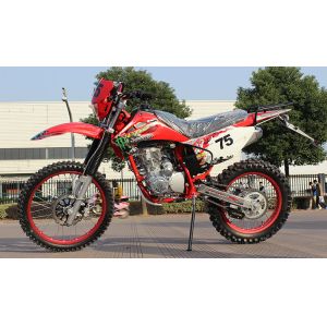 CDI Lgnition Gas Powered Dirt Bikes 150cc Mini Type 150KG Loading Weight