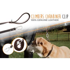 Soft Padded Handle Handmade Dog Leather Leashes Lightweight Natural Brown Color