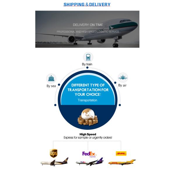 Hight Quality 14 Case Divided Medical Equipment Custom Logo Pill Boxes