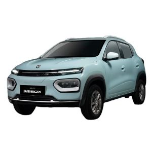2023 2024 Dongfeng EX1 Nano Box Mini EV Car Electric Vehicles featuring Ternary
