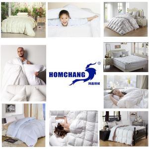 Homchang Down and Feather Manufacture Co., Ltd, Goose Down and Duck Down