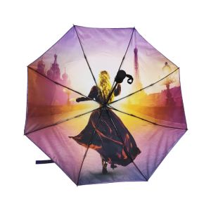 Auto Open Double Layer 21"*8K Windproof Travel Umbrella