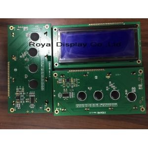 19264 Dots LCD Module Cog Transflective Mono Va LCD Display RY19264 Graphic