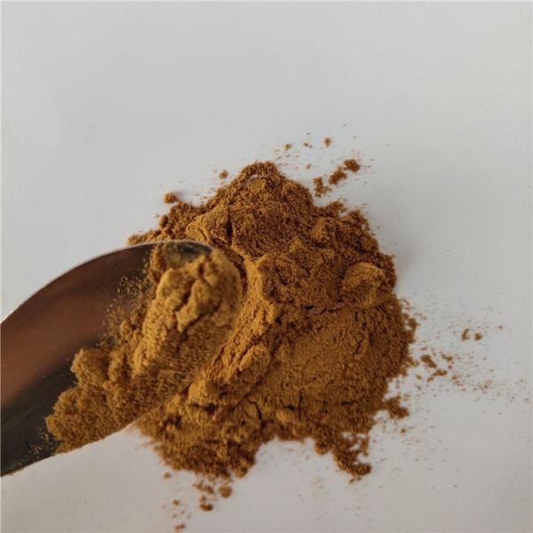 Hot Sale immuno-enhancement amur corktree bark extract from china