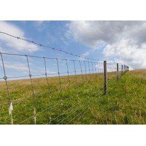 Rust Resistance 14gauge Double Strand Traditional Twist  Galvanized Barbed Wire Coils