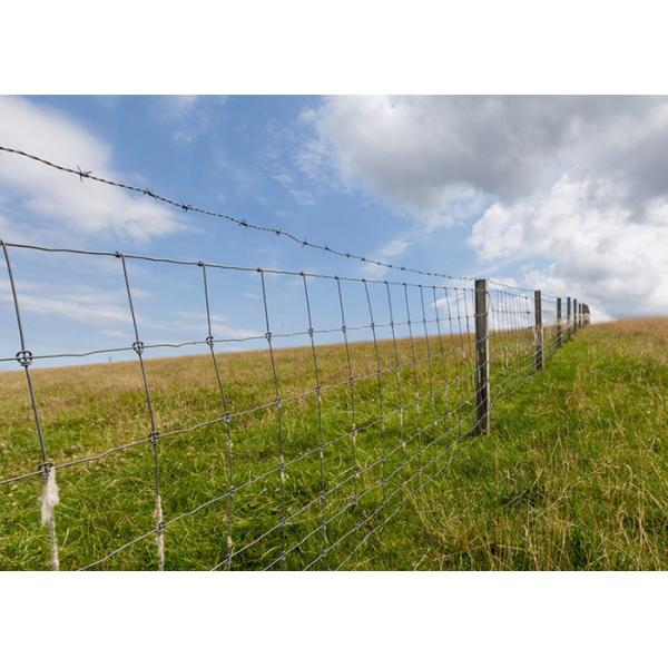 Rust Resistance 14gauge Double Strand Traditional Twist Galvanized Barbed Wire