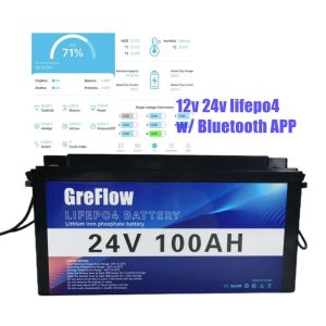 2560WH Lifepo4 Storage Battery Pack 24V 100Ah With Prismatic Cell