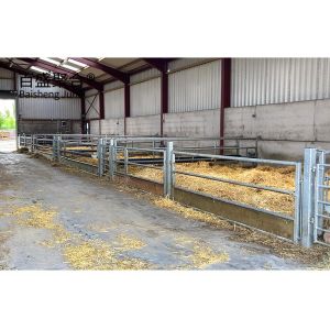Prefabricated Hot Dip Galvanised Steel Structure Barn Shed for Cow Chicken Sheep