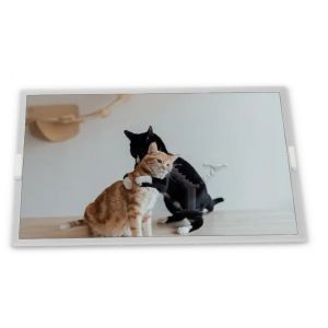 Cheap 4.2-Inch WLED WLED LCD Display TX11D201VM0BAA Module 480*272 Resolution Specific Application for ODM Suppliers for sale