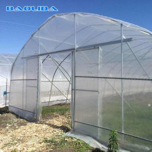 Low Or High Tunnel Plastic Greenhouse Hot Dip Galvanized High Latitude Area