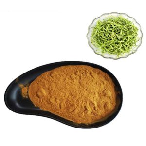 Honeysuckle Flower Plant Extracts Chlorogenic Acid 5% Anti Virus