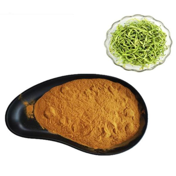 Quality Honeysuckle Flower Plant Extracts Chlorogenic Acid 5% Anti Virus wholesale