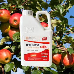 19-19-19 100% NPK Water Soluble Fertilizer Liquid Agriculture