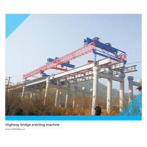 Cheap Tlqj30 / 120t bridge erecting machine, bridge paver, mobile bridge crane and engineering crane for sale
