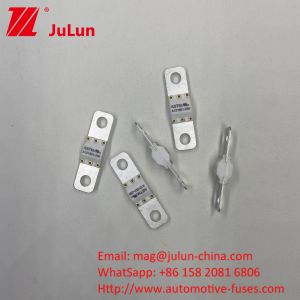 ASTM Electric Vehicle Fuse 50-350A 3KA/6KA/8KA Screw Mounting A121601-150A