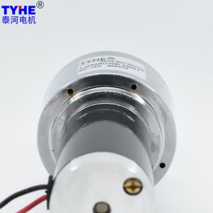 Low Noise 60mm Spur Gearbox Dc Gear Motor 12v 24v 25w 40Rpm