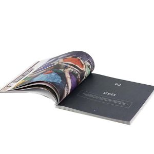 PSD C1S Instruction Booklets Manual Guide Glossy Matte Varnishing 500pcs