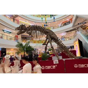 Weather Resistant Simulation Dinosaur Fossil Model For Museum Exhibition