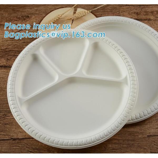 Eco-Friendly biodegradable compostable sugarcane bagasse 7inch food plate