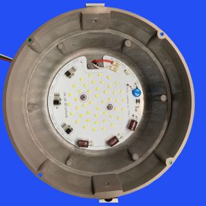 Rubicon Capacitor Customized LED Modules CB/CE/IEC Certificated 156LM/W 25W 220V