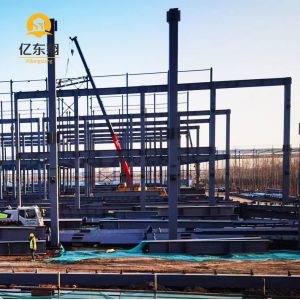 Custom Steel Frame Building For Activity Centers Fast Construction