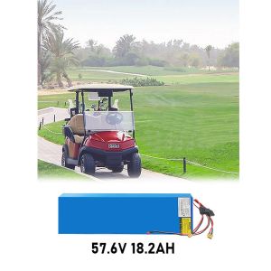 Lithium Ion Golf Cart Lithium Battery 2000 Cycle Rechargeable Customizable